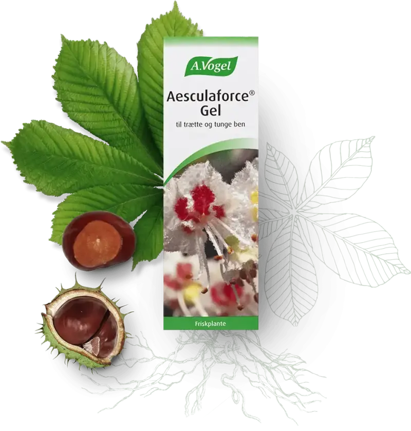 Aesculaforce Gel 100ml