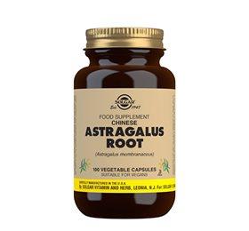 Solgar Astragalus 520 Mg - Kosttilskud til Sundhed