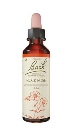 Bach Almindelig Soløje 10ml - Naturlig Blomstermedicin