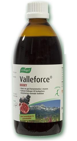 A  Vogel Valleforce Berry  500ml