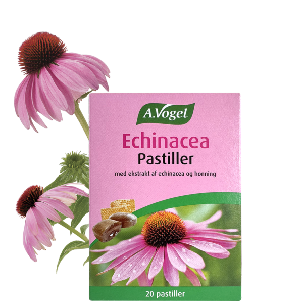 A Vogel Echinacea Pastiller  42 G