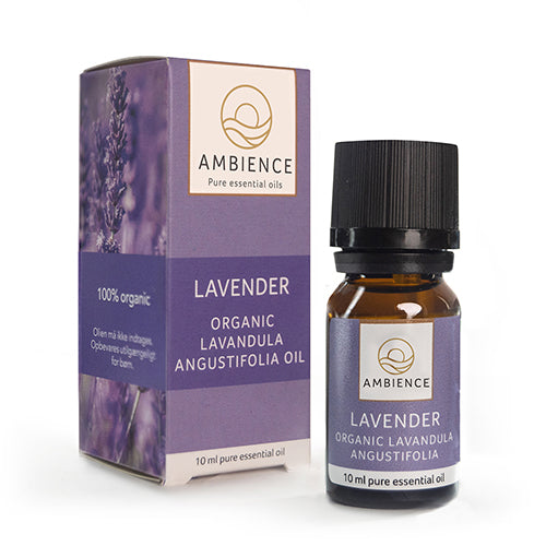 Ambience Ambience Lavendel Olie  øko