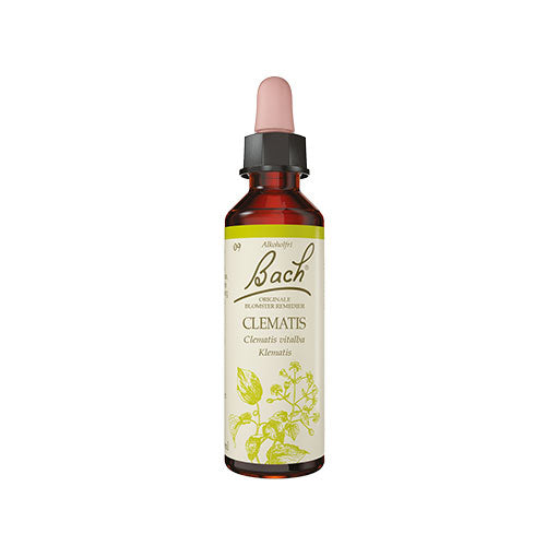 Bach Originale Blomsterremedier Bach Almindelig Skovranke