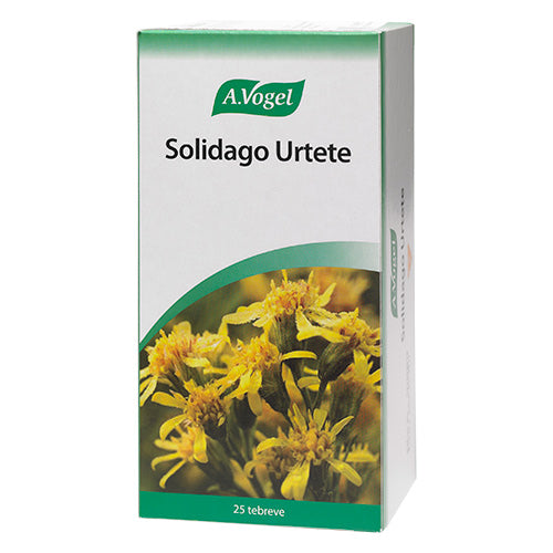 A Vogel Solidago Urtete Breve