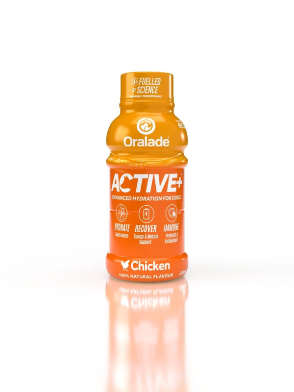 Oralade Active  Kylling   250 Ml