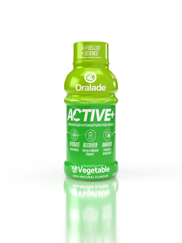 Oralade Active Veggie Med Grøntsager 250 Ml